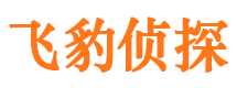 淮阳找人公司